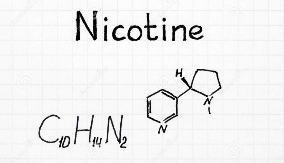 Nikotiini
