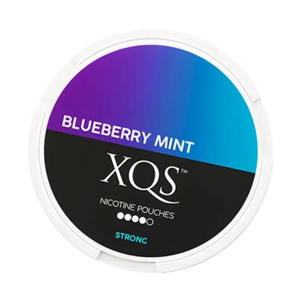 XQS - Blueberry Mint 10mg